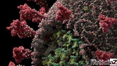 Mais de 320 casos de Covid-19 são confirmados em Jundiaí