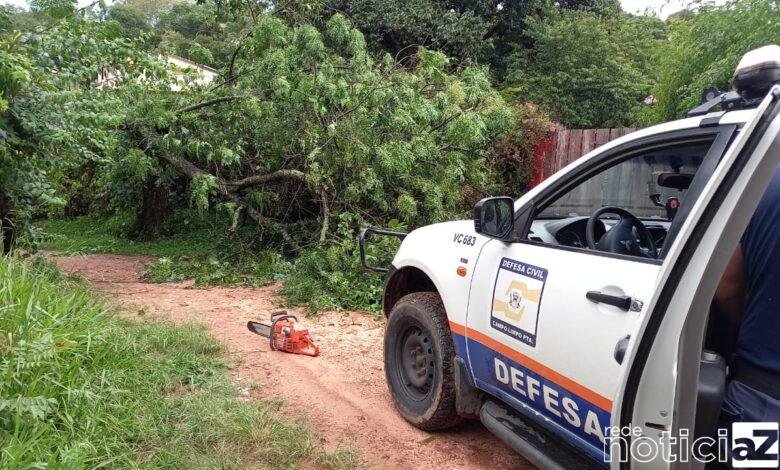 Área de mata de Campo Limpo Paulista é incendiada