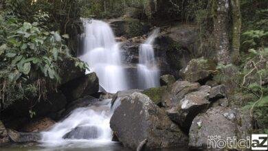 Mais produtores rurais na recuperação de nascentes