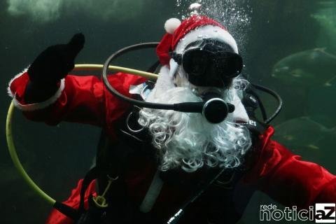 Papai Noel mergulha no Aquário de Santos