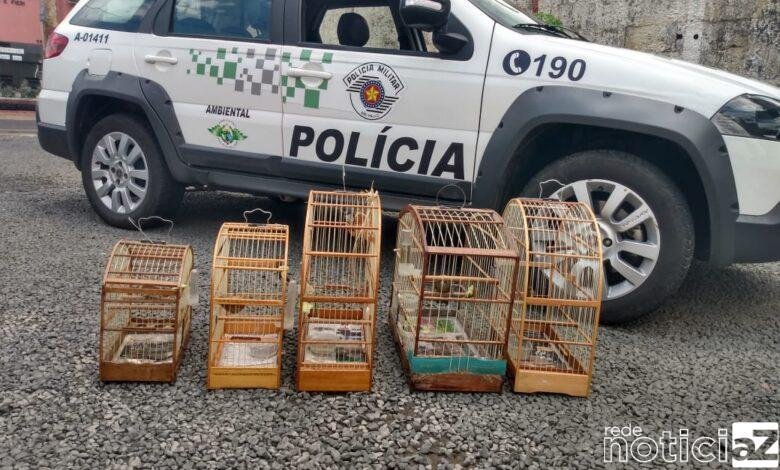 Polícia Militar Ambiental apreende 05 pássaros silvestres em cativeiro