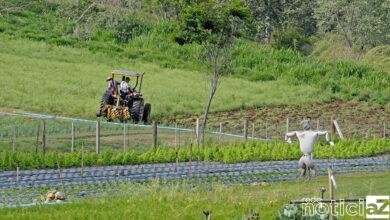 Prêmio da R$ 150 mil para investimento na produção rural