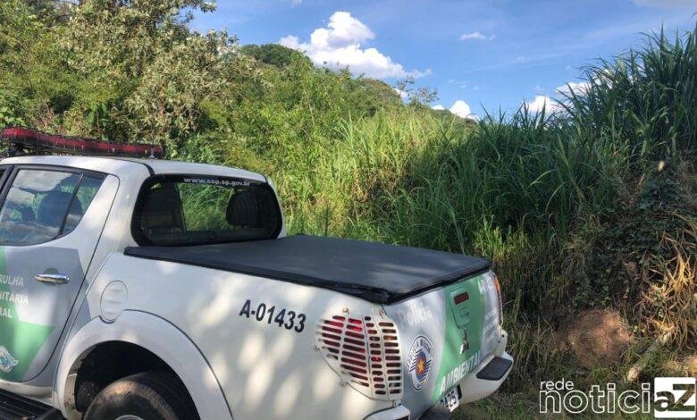 Polícia Ambiental combate crimes de desmatamento e degradação