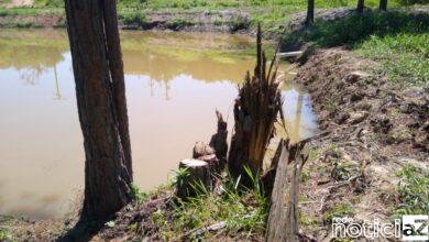 Polícia Ambiental coíbe crime de desmatamento