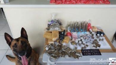 Cão da GM ajuda na apreensão de drogas
