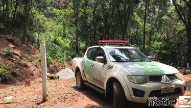 Polícia Ambiental combate casos de desmatamento