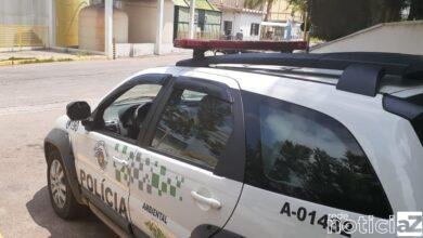 Polícia Ambiental combate casos de desmatamento