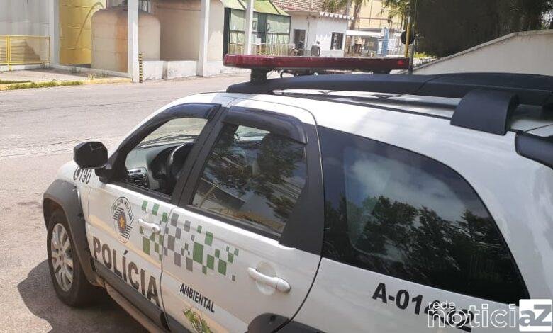 Polícia Ambiental combate casos de desmatamento