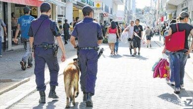 Cão da Guarda Municipal ajudam na apreensão de drogas