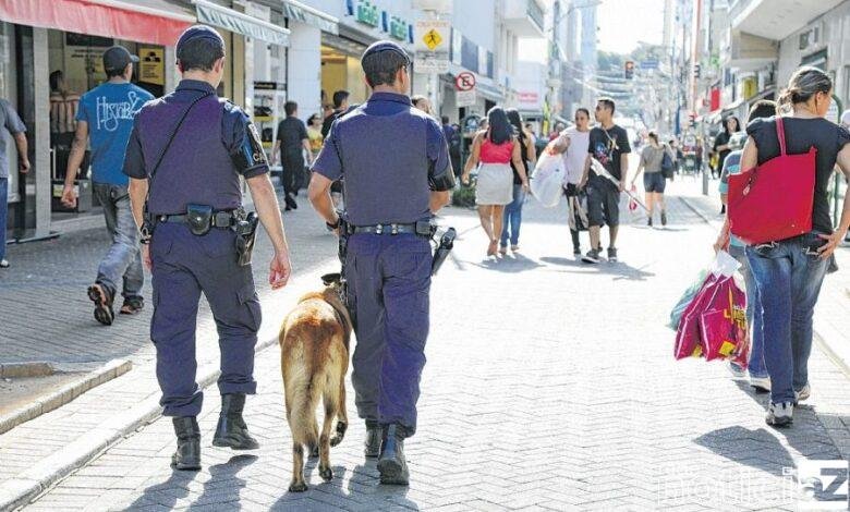 Cão da Guarda Municipal ajudam na apreensão de drogas