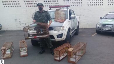 Ambiental apreende 18 aves silvestres e faz multa de 9 mil reais