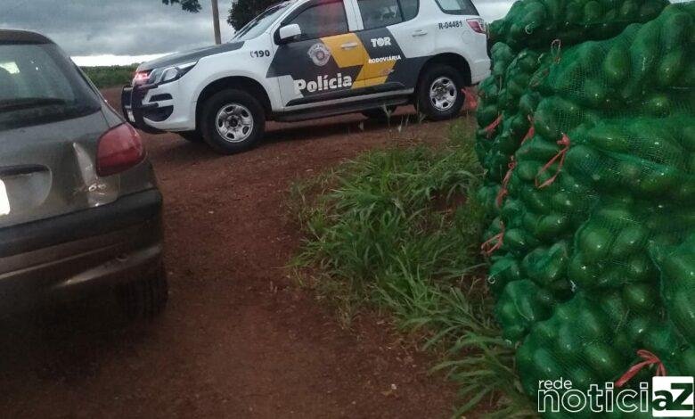 Furtou abacates de sítio e foi para a cadeia