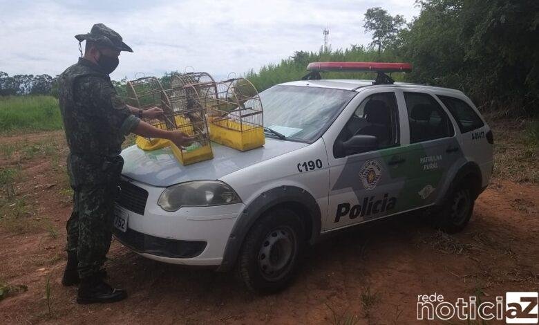 Pássaros silvestres em gaiolas rende multa e apreensão