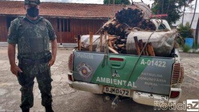 Polícia Ambiental apreende carga ilegal de palmitos e aplica multa de R$ 660 mil reais