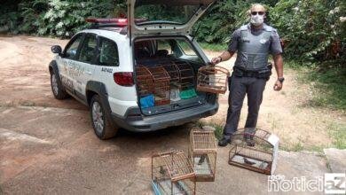 Ambiental multa em R$ 9 mil homem que mantinha pássaros silvestres em gaiolas