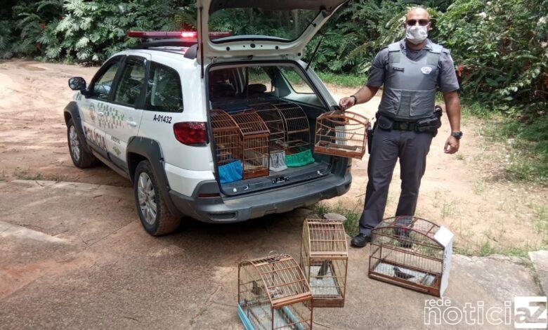 Ambiental multa em R$ 9 mil homem que mantinha pássaros silvestres em gaiolas