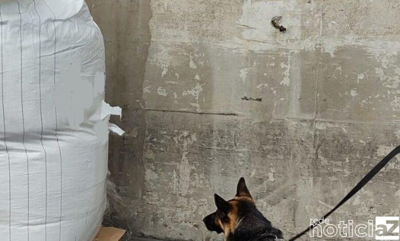 Carga com 853 Kg de cocaína é apreendida no Porto