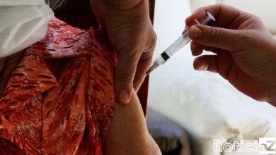 Idosos a partir de 60 anos serão vacinados em Itatiba