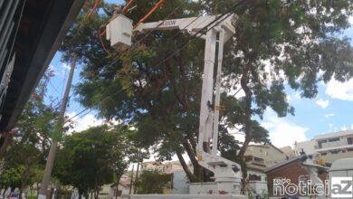 Após reclamação sobre árvore, CPFL faz a poda em Jundiaí