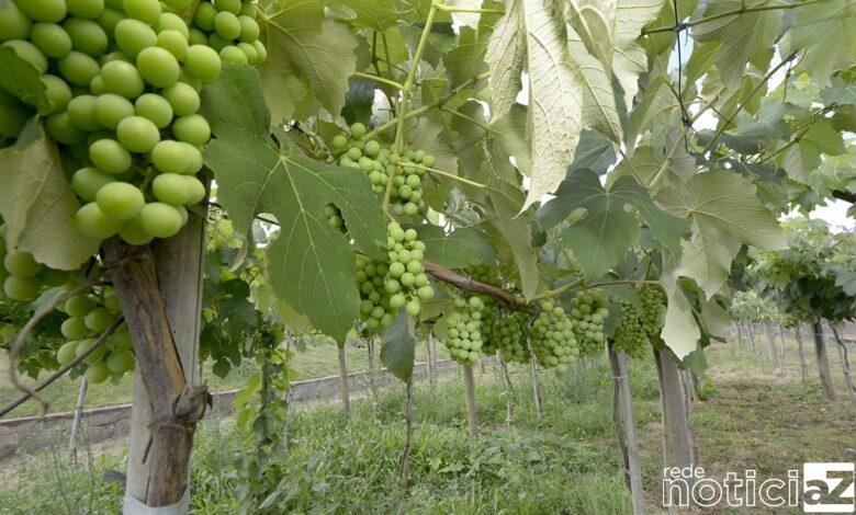 Após ser destaque como uma das cidades mais participativas na Pesquisa de Percepção do Turismo nos Municípios do Estado de São Paulo, Jundiaí