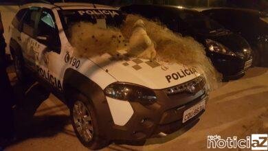 Polícia aprende 42kg de pescados barco e motor e ainda emite multa de R$ 7 mil