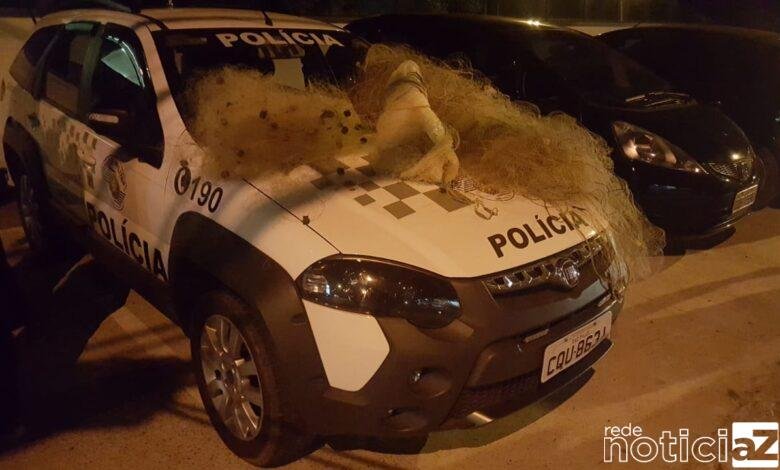 Polícia aprende 42kg de pescados barco e motor e ainda emite multa de R$ 7 mil