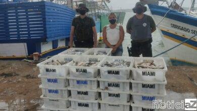 Ambiental apreende 1 ton de peixes e aplica multa de R$ 42 mil