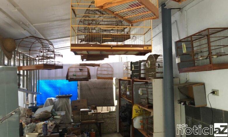 Criador multado em mais de R$14 mil mantinha pássaros em cativeiro