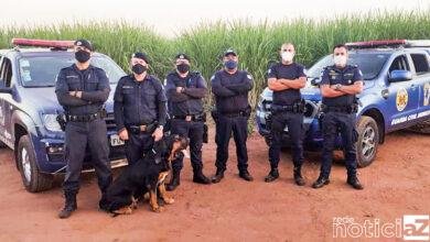 Cão da GM ajuda a encontrar idoso