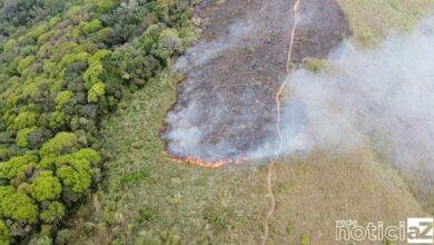 Fogo atinge Morro da Baleia