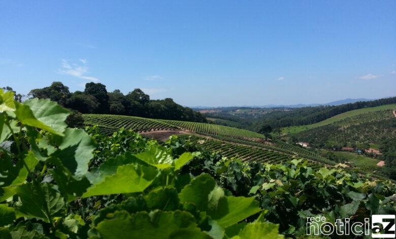 O PDL nasceu da análise do Plano de Desenvolvimento Turístico Regional, elaborado em parceria entre o SENAC-SP e os municípios. Jundiaí participou ativamente desse estudo. O Plano apontou a necessidade do fortalecimento da Governança, que reunirá representantes da iniciativa privada e da administração pública. O PDL dará o suporte para a organização da governança, visando ao gerenciamento das ações do Circuito das Frutas. O mapeamento realizado para a elaboração do Plano de Desenvolvimento em parceria com o SENAC apontou que atualmente, a região do Circuito conta com mais de 200 atrativos de turismo rural, 1.600 empresas de alimentação, 170 empreendimentos de hospedagem e mais de 400 atrativos em outros segmentos (culturais, naturais, históricos, pedagógicos. O Circuito das Frutas sempre foi um grande destino turístico. “Antes do início da pandemia, o Circuito atraía aproximadamente 2 milhões de turistas por ano para os atrativos relacionados ao Turismo Rural em nossa região”, lembra Marcela. PDL Na última segunda-feira (23), Jundiaí também aderiu ao PDL (Programa de Desenvolvimento Local), do Sebrae, que permitirá, a partir de um diagnóstico das principais vocações econômicas da cidade, fomentar setores e qualificar os micro e pequenos negócios em Jundiaí. Após o diagnóstico, serão realizadas uma série de ações na forma de programas técnicos, projetos e atividades de apoio aos microempreendedores individuais (MEI), às microempresas (ME) e às empresas de pequeno porte (EPP), com vistas ao fomento da economia local. Ao todo, o investimento do Sebrae neste projeto é de R$ 1.846.931,00, sem qualquer contrapartida financeira para a Prefeitura. O PDL faz parte do programa Jundiaí Empreendedora, criado para diminuir, no âmbito econômico, os reflexos negativos na pandemia da Covid-19. Participam desse trabalho, além da Prefeitura e do Sebrae, a chamada Governança, que conta com diferentes organizações da sociedade civil. A assinatura de declaração de adesão ocorreu no Paço Municipal, na presença de autoridades e gestores.