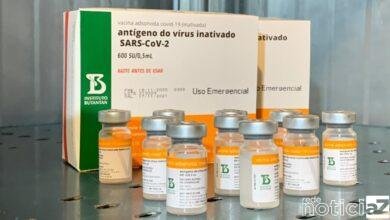 Testes revelam que CoronaVac é segura para crianças e adolescentes