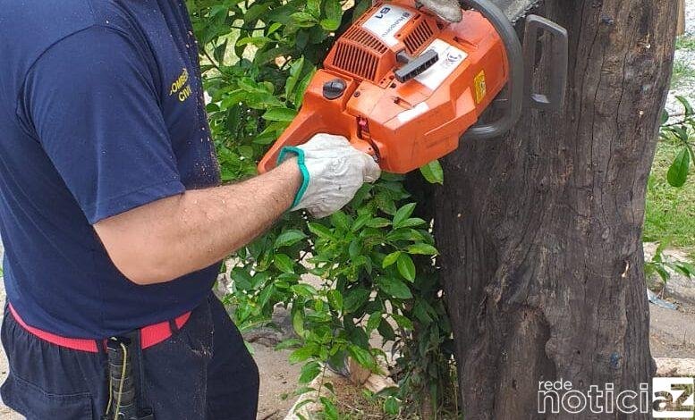 Defesa Civil faz podas preventivas