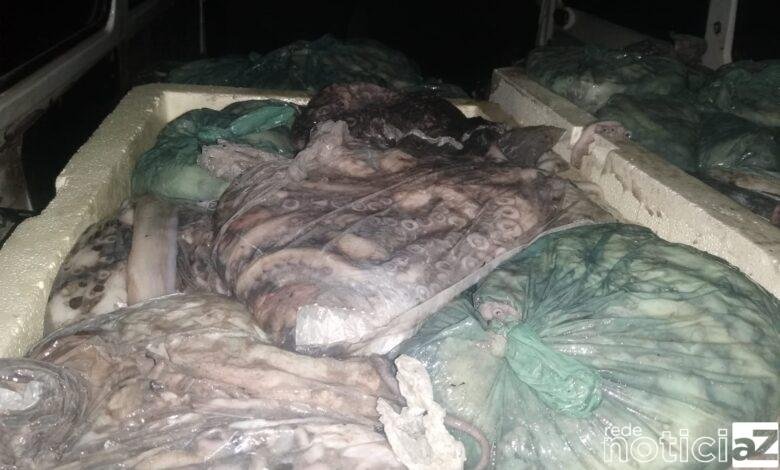 Pesca irregular rende multa superior a R$ 300 mil
