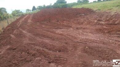 Ambiental flagra corte de vegetação em área de proteção