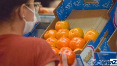 Jundiaí: a terra do caqui