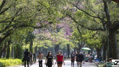 Dia da felicidade é hoje