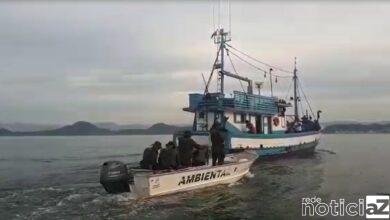 Apreensão de pescados rende multa de quase R$ 200 mil