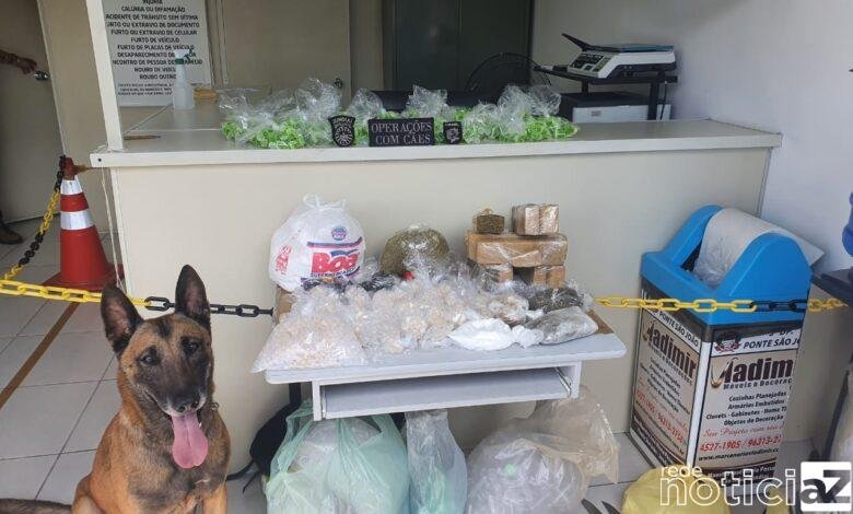 Cão da GM com faro apurado encontra drogas