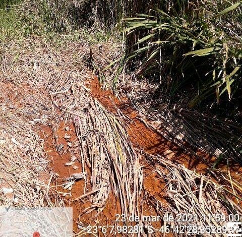 Polícia Ambiental combate devastação de mata em Jarinu