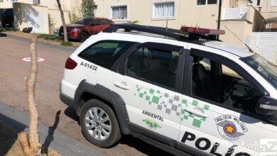 PM apreende homem por manter aves em cativeiro