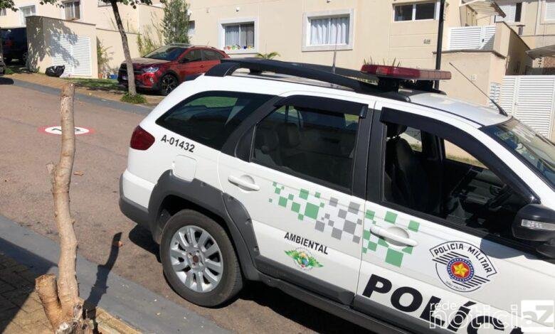 PM apreende homem por manter aves em cativeiro