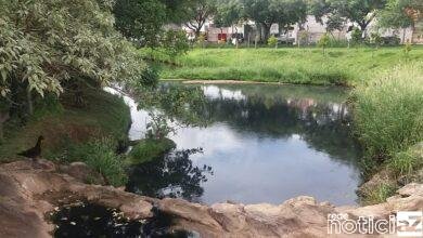 Lago é motivo de bronca em Jundiaí