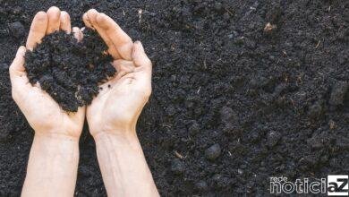 Produtores rurais podem fazer análise de solo