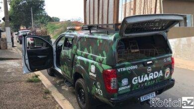 Aves mantidas em cativeiro no Jundiaí Mirim são recuperadas