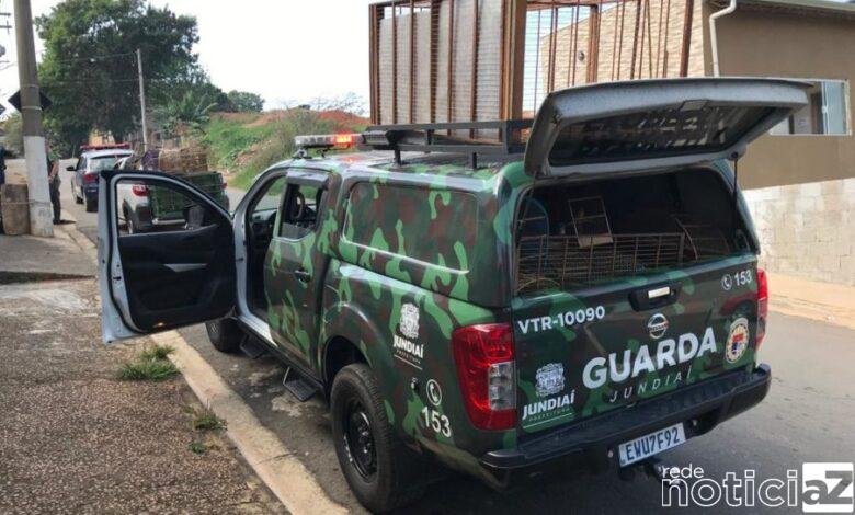 Aves mantidas em cativeiro no Jundiaí Mirim são recuperadas