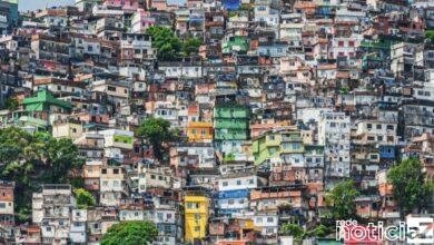 Já classificado para as quartas de final da Copa América, o Brasil enfrenta o Equador, neste domingo (27) a partir das 18 (horário de Brasília) no estádio