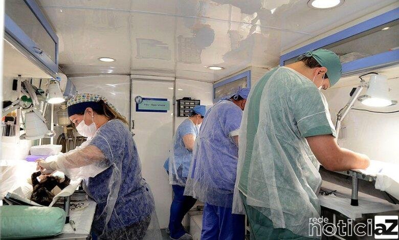 Cães e gatos serão castrados em Várzea Paulista