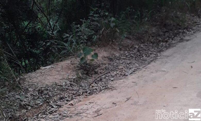 Corpo sem cabeça é encontrado em barranco de Itupeva
