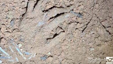 Os dois corpos foram encontrados em uma cova rasa em uma fazenda, no bairro bom retiro, em Jarinu. Foi uma funcionário da fazendo que entrou